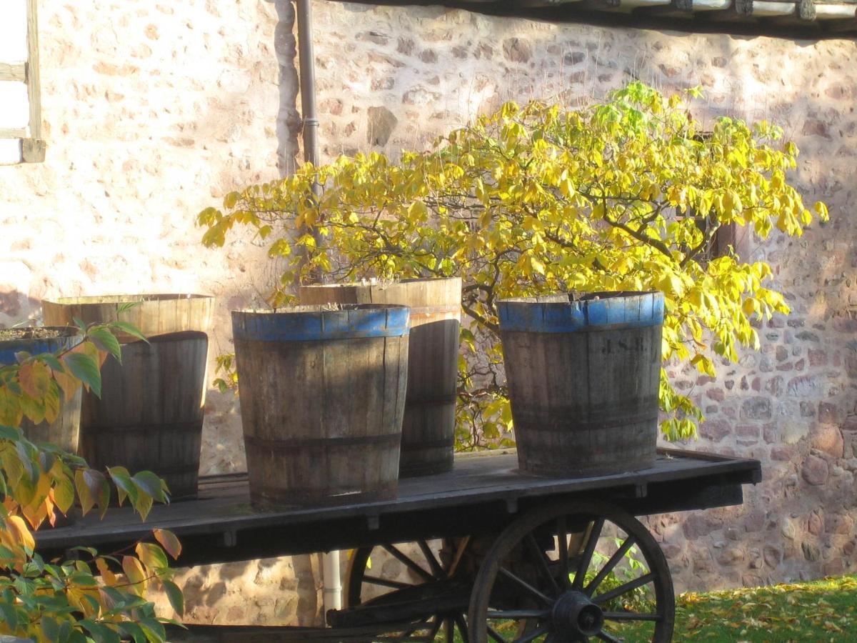 Les Hortensias Sainte-Marie-aux-Mines Zewnętrze zdjęcie