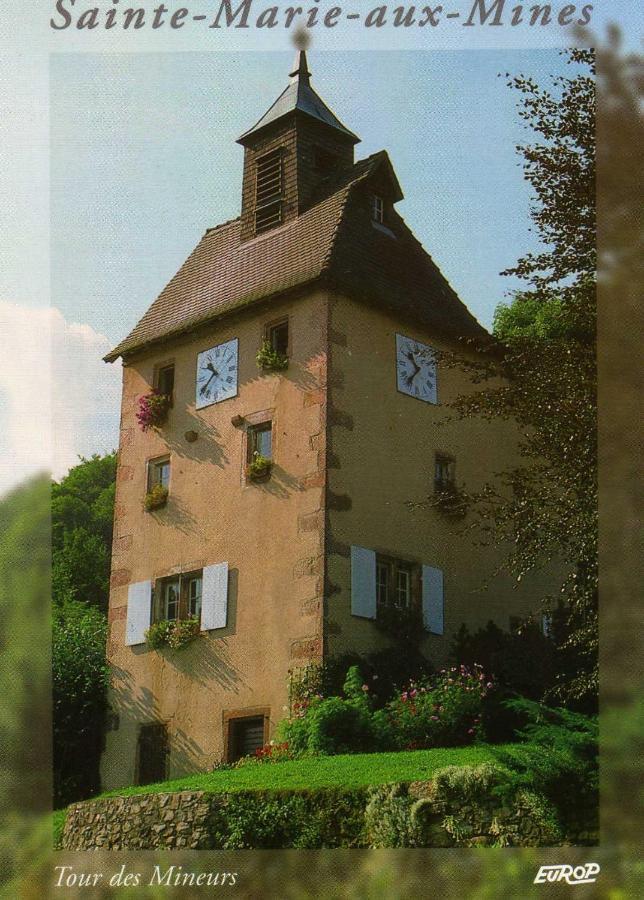 Les Hortensias Sainte-Marie-aux-Mines Zewnętrze zdjęcie
